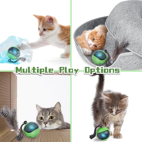 Interactive Cat Toy Ball, Automatic Self-Rolling Cat Toy with Feather Tail, Rechargeable Smart Cat Ball for Indoor Cats(Dark Green) - Image 4
