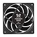Scythe Wonder Tornado 120 PWN High-Performance Computer Case Fan,120mm x 25mm, Fluid Dynamic Bearing, 4-Pin Connector (2000RPM Black, 1)
