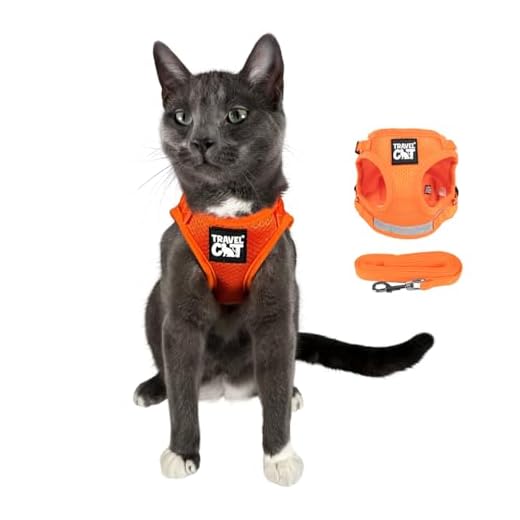 Travel Cat: The True Adventurer - Reflective Cat and Kitten Harness and Leash Set for Walking - Lightweight, Breathable, Snug Fit - Strong Leash with Sturdy Snap Clip