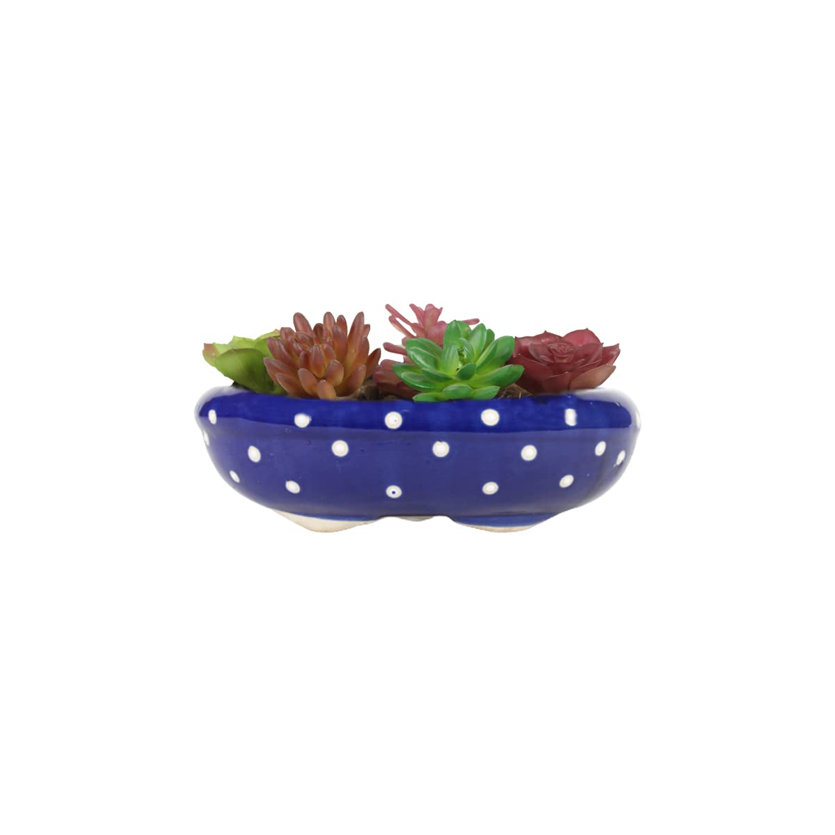 Wonderland Ceramic Flower Pot Dotted Bonsai Tray (Green) (B09W5P87F5) Amazon Price History, Amazon Price Tracker