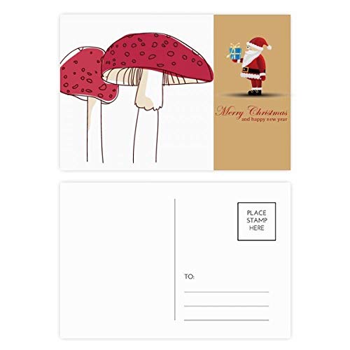 Cartes postales Swamm Line motif Père Noël réalistes pour correspondance hivernale