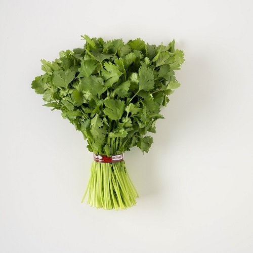 Cilantro, 1 Bunch