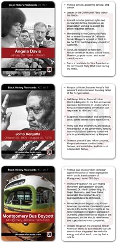 Urban Intellectuals Black History Flash Cards – Volume 1 – Education Resources – African American Heroes – Juneteenth – Black History Month – Cultural Holiday Card Game – Trivia Games and Gifts