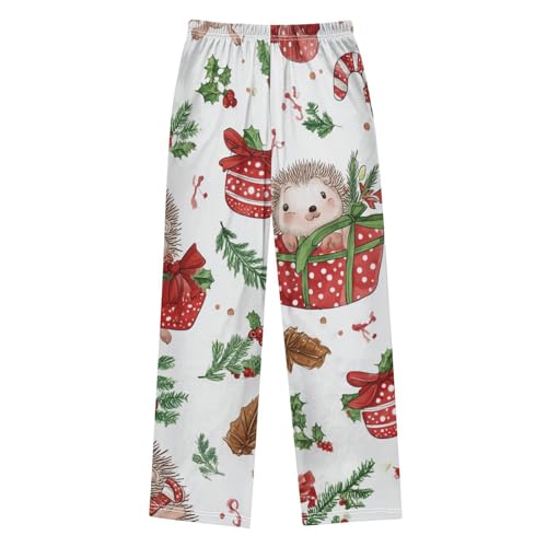 ZZXXB Hedgehog Candy Canes Boys Long Pants Soft Trousers Elastic Waist Kids Lounge Bottoms with Pockets S-XL2