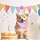 KASESSS 3 Stück Hunde Geburtstag Hut Bandana Set, Hundegeburtstagspartyzubehör, Einstellbar Hundegeburtstagspartyhut, Niedliche Spitze Haustier Glitzerndes Kleid für Kleine Mittlere Hunde, Lila