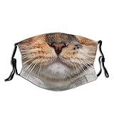Orange Cat Mouth Cute Smiling Print Face Mask-Adjustable Ear Loops|Reusable-With Filter...