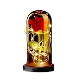 ASANMU Rosa Eterna, Regalo San Valentin Mujer Regalos Originales para Mujer Rosa Bella y Bestia con Correa LED Flores Preservadas Regalos para Mamá, Hermanas, Esposa, Cumpleaños, Boda Aniversario