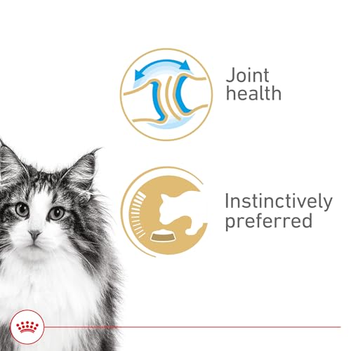 Image of ROYAL CANIN Feline Health Nutrition Aging 12+ Senior Thin Slices in Gravy Cat Food, 3 oz (Pack of 24)