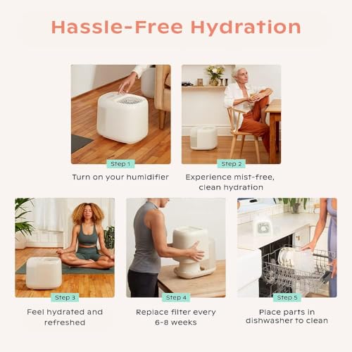 Image of Canopy Large Room Humidifier, Cream, Large Living Space, 36HR Run Time, 5.5L Tank - Includes Canopy Humidifier Plus, Diffusion Well, Unwind Aroma, Filter, Power Cord & Adapter