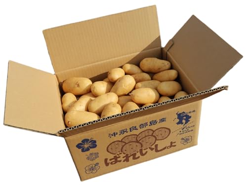 [Rin管理システム]農薬不使用!新ジャガイモ ゴールド 5kg 4月お届け じゃがいも ジャガイモ 野菜 やさい 根菜 根菜類 野菜類