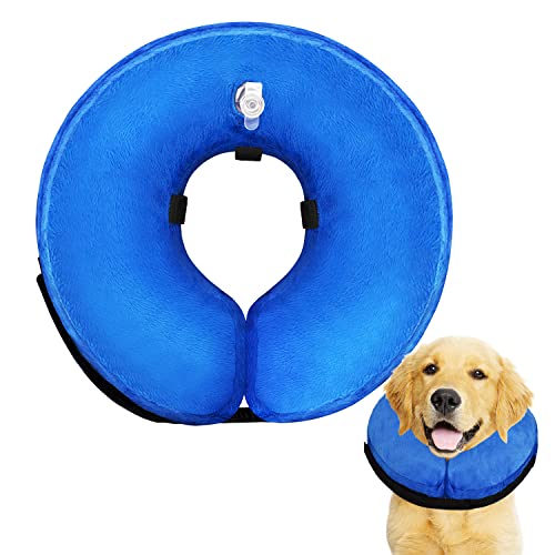 Top 10 Best Inflatable Dog Collar Top Picks 2023 Reviews