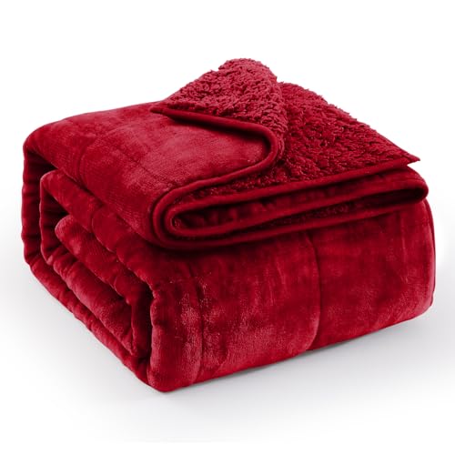 Ultra Soft Sherpa Weighted Blanket for Adults, 48"x72" 15lbs Heavy Blankets