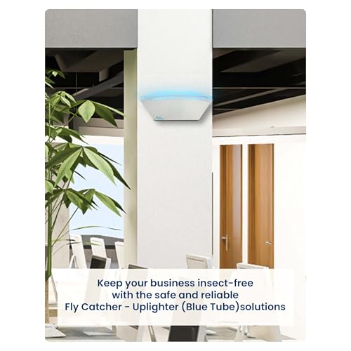 Image of Flying Insect Catcher Uplighter Machine with Blue UV Tube & 3 Glue Pads| Glue Pad Based Insect Control | Silent & Chemical-Free Fly Trap for Home, Restaurants, Hotels & Offices- Grey