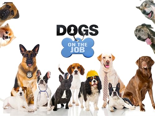 Dogs On the Job- Season 1
