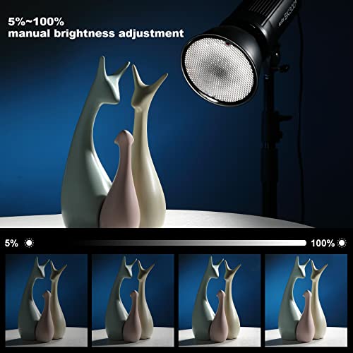 Godox 2X SK300II Studio Flash Strobe Kit:2.4G 600Ws Speedlite Flash Monolight with Bowens Mount for Studio Shooting,Location & Portrait Photography with Light Stand,Softbox,Barndoor and Umbrellas