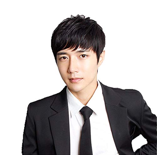 FESHFEN EBbO Y V[g ×p  j l100 Jc  A lbgt t[TCY wig R (ʂ̎A-R)