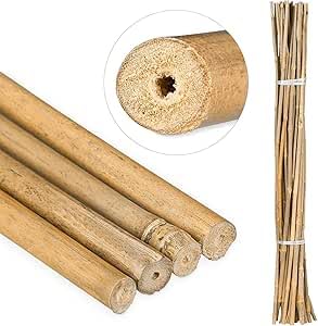 Suinga Pack 200 Tutores de Bambú 200 cm (10-12 mm) - Varillas Resistentes para Plantas, Árboles y Hortalizas | Soporte para Plantas, Tomates | Tutores para Plantas trepadoras
