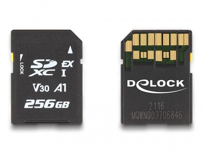 DELOCK TARJETA DE MEMORIA SD EXPRESS 256 GB