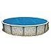 Blue Wave NS110 8-mil Solar Blanket for Round Above-Ground Pools, 18-ft, Blue