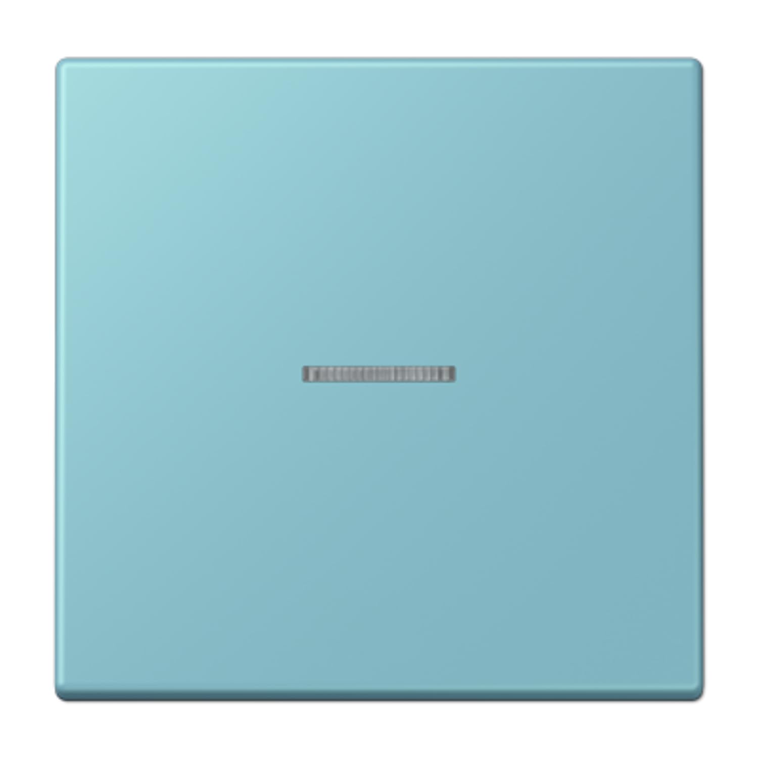 Touche simple avec viseur LC32032 JUNG LC990KO5213 pour interrupteur