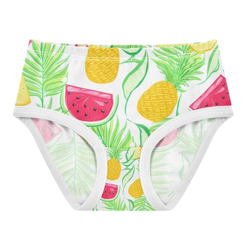 Tropical Pineapple Watermelons Toddler Girls's Underwear 2T 202c1857