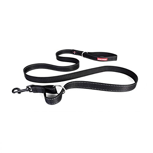 EzyDog Vario 4 Multi-Function Adjustable Dog Leash and Slip Lead (Standard, Black)