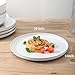 Tikooere Ceramic Dinner Plates Set of 4,Stoneware 10 Inch,Microwave,Dishwasher and Oven Safe,Porcelain Dessert Plates for Pasta,Salad and Steak,Dishes Set for Kitchen,Scratch Resistant,White