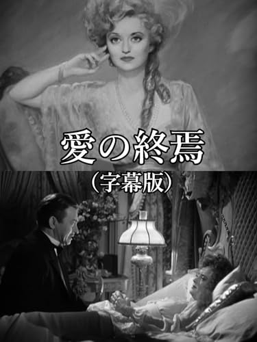 愛の終焉(字幕版) 愛の終焉(字幕版)