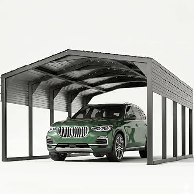 12x20FT Metal Carport Heavy Duty, 2"x2" Galvanized Steel Frame & 29-Guage Leakproof Roof, All-Weather Resistant 140MPH | 40 PSF Snow Bearing, Outdoor Car Shed for Vehicles, Outdoor Storage,Black