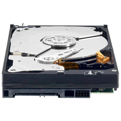 Disque dur interne Western Digital WD2503ABYX 3,5 pouces RE4 250 Go SATA pour serveurs