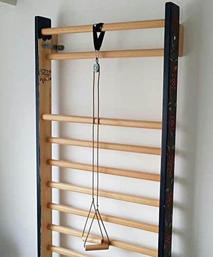 ARTIMEX poulie avec des poignées pour thérapie Physique et Gymnastique - utilisé dans Les Maisons, Les gymnases ou Les cliniques, Code 454545