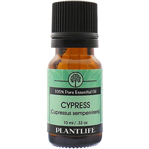 Cypress 100% Pure Essential Oil - 10 ml