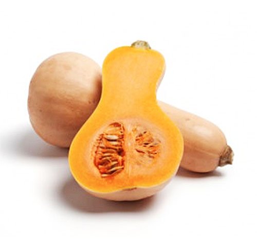 Butternut Squash - .3 Oz Seed #TOP25