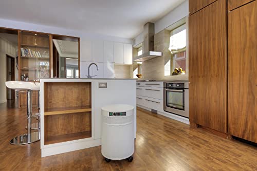 Photocatalytic Oxidizer Air Purifier #TOP6