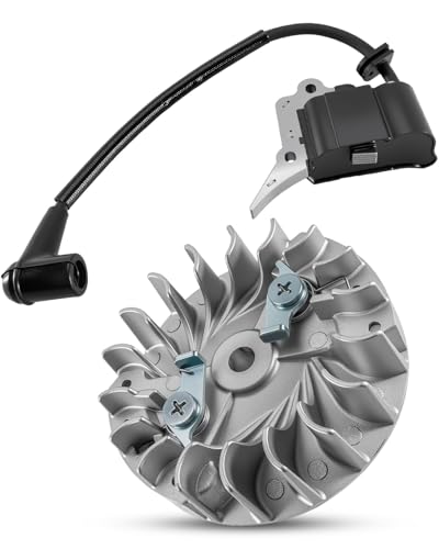 Bobine d'allumage avec volant d'inertie Ryobi RY3714