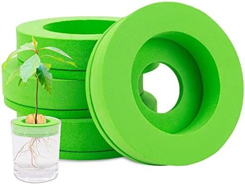 NEOBEAUTY Avocado Tree Growing Kit 4 Pack，Hollow Floating not Sinking，Avocado Seeds Growing Gifts for Women, Mom, Sister, Best Friend & Kids，Kitchen Garden Seed Starter