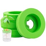 NEOBEAUTY Avocado Tree Growing Kit 4 Pack，Hollow Floating not Sinking，Avocado Seeds Growing Gifts