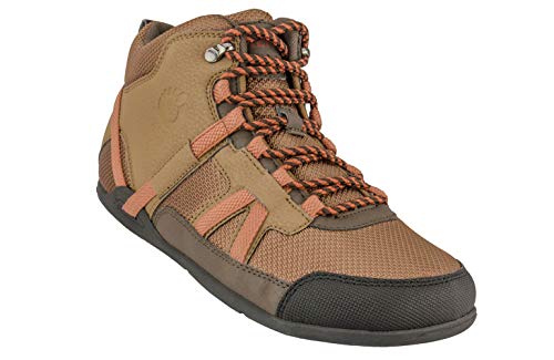 daylite hiker