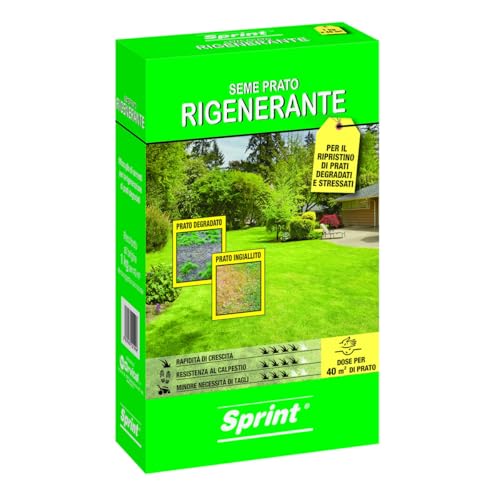 Sprint semi per prato universale rigenerante 1kg - 40m² sementi erba per tappeti erbosi danneggiati,favorisce una rapida ricrescita del prato,semi erba adatto alla rigenerazione del tappeto erboso