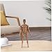 Lawnrden 1/6 Scale Action Figure|1/6 Scale Action Figure Multi Jointed Posable Male Muscular Body with Head for Display Doll Collection, Brown