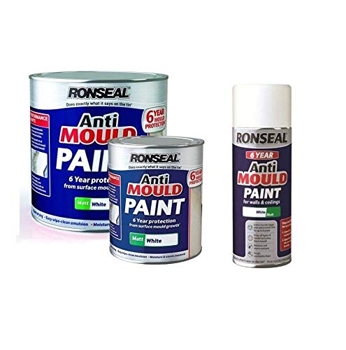 Ronseal 6 Year Anti Mould Paint Matt White 750Ml