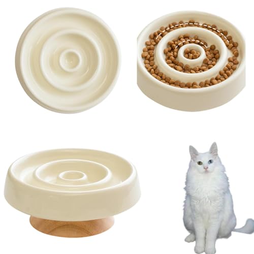 Lifetips ^[LbVASL AS Lp X[t[h{E ؐ Hh~ ~ HZbg ^ L  􂢂₷ iؐx-X^CvAC{[j