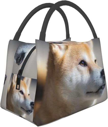 `obO ٓ e ٓ  ZLZCCR `{bNX ٓ ۉobO |Pbgt V_[Xgbvt fM ٓ Hi[ ٓ ʋ ʊw jp