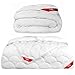Softimi Premium Bettdecke 160x200 Steppdecke Microfaser Hypoallergene Antiallergische - Universelle Decke für Sommer und Winter - Waschbar - Oeko TEX Zertifizert (Ganzjahresdecke, 160 x 200 cm)