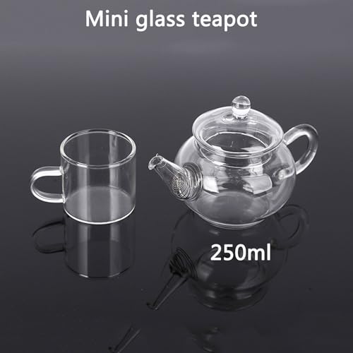 Mini Teekanne Glas,250ML/8.5OZ Glas Borosilikat Teebereiter mit Siebeinsatz für Schwarzen Tee Grüner Tee Fruchttee Duftender Tee Teebeutel losem Teefilter