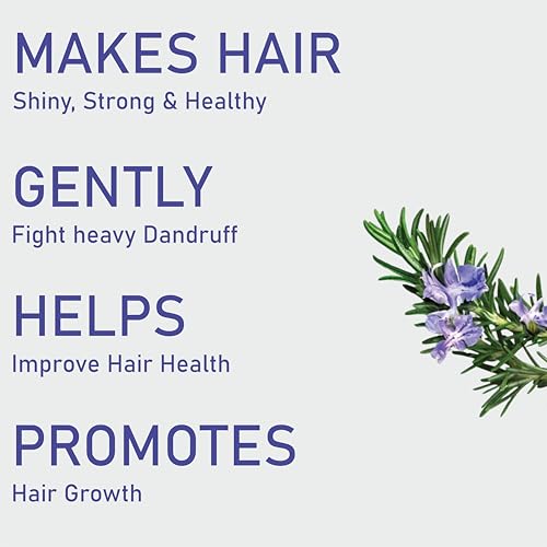 Image of Rosemary Anti Hair Fall Shampoo with Rosemary, Methi Dana & Amla for Reducing Hair Loss & Breakage - 200 ml | For Men and Women
