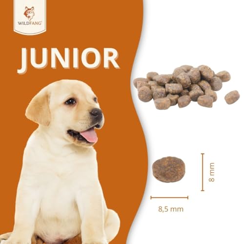 Wildfang® Hundefutter - Trocken - Getreidefreies Hundefutter - Premium Trockenfutter… (2 kg, Huhn mit Truthahn - Welpen)
