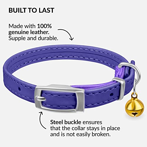 Image of CollarDirect Leather Cat Collar, Animal Collar with Elastic Safety Strap and Bell for Boy, Girl, Kitten (Neck Fit 6 inch-7 inch, Purple)
