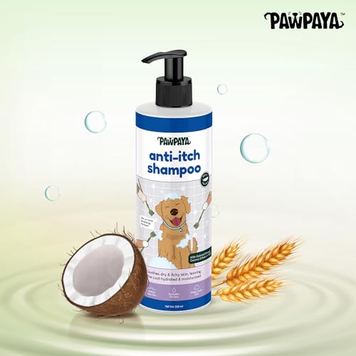 Image of Pawpaya Shampoo Pawpaya Shampoo for Dogs | Gentle Deep Cleansing Formula for Healthy Skin & Soft, Shiny Coat | Suitable for All Dog Breeds & Coat TypesDogs (Anti-Itch Shampoo)