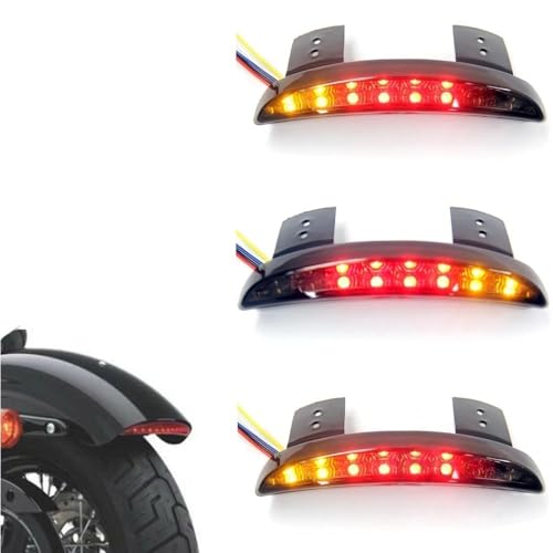 Luz trasera de motocicleta para rutas nocturnas y viajes en Sportster 883 1200 4